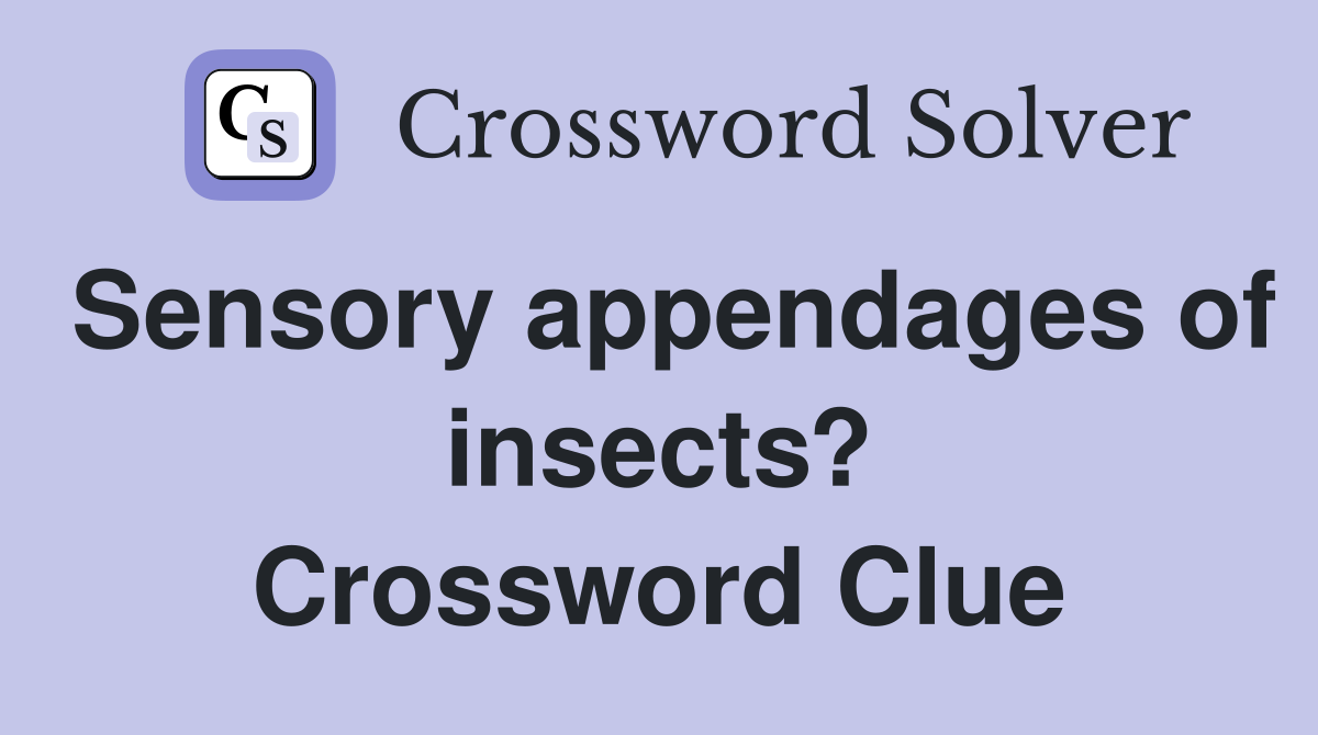 Sensory appendages of insects? Crossword Clue Answers Crossword Solver